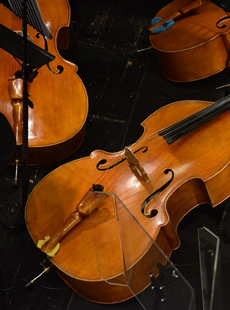Violinen auf schwarzem Hintergrund