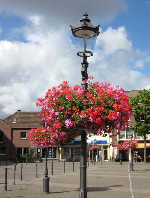 Blumenampeln am Markt