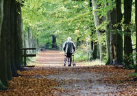 Senior an Rollator in Allee unterwegs
